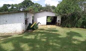 Imagem 3: EXCELENTE CHÁCARA!!! 52.300m² DE ÁREA TOTAL, TANQUE P/ PEIXES