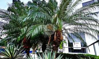 Imagem 3: Apartamento com 1 Quarto(s) e 1 banheiro(s) para Alugar, 30 m² por R$ 2000 / Mês