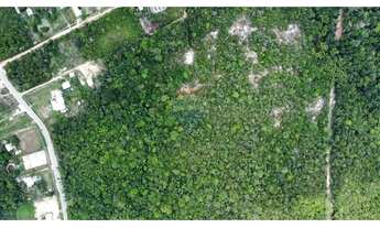 Imagem 7: Terreno à Venda Ramal Cláudio Mesquita (KM 3 da BR-174