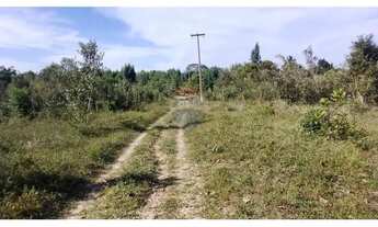 Imagem 4: FAZENDA PEDRA NO DISTRITO DE BOA UNIÃO - 25 TAREFAS DE TERRA - BR 110 - PORTÃO - ALAGOINHA