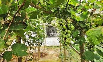 Imagem 3: Imóvel para venda tem 2000 metros quadrados com 5 quartos em Buenos Aires - Guarapari - ES