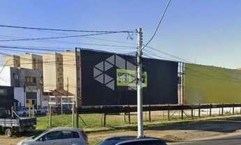 Imagem 3: Terreno à margem da BR 116