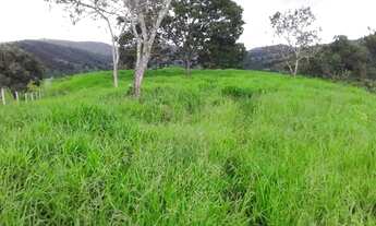 Imagem: Fazenda Cocalzinho de Goias com 159