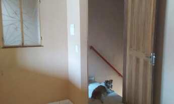 Imagem: Aluga apartamento 1 quarto sala cozinha