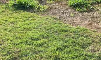 Imagem 3: Terreno à venda em Campinas, Alphaville Dom Pedro, com 412 m², Alphaville Dom Pedro 0