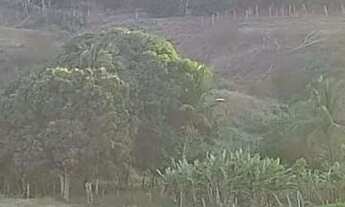 Imagem 3: Terreno Terreno / lote com venda por R$150.000