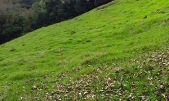 Imagem 7: Sítio em Morro Calçado - Morro Calçado - Canela/RS