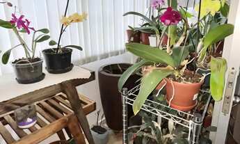 Imagem 5: Apartamento (Padrão), com 3 quartos e 2 banheiros à Venda, 122 m² em Curitiba/PR