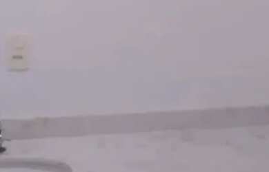 Imagem 4: Apartamento no Bairro Ipanema 3 quartos, piscina, 1 vaga