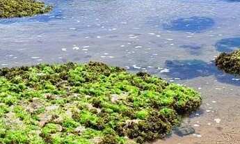 Imagem 7: EXCELENTE APARTAMENTO 2 QUARTOS, 1 SUÍTE, 64M² 2 VAGAS COBERTAS, PORTEIRA FECHADA. STELLA