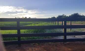 Imagem 4: Fazenda com 280 hectares em Rorainópolis/RR, ler descrição do anuncio