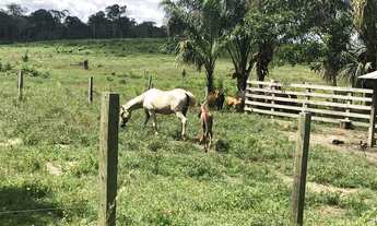 Imagem 6: Lote na vicinal 9 abaixo do preço de mercado