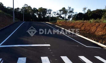 Imagem 2: Lotes a partir 148 mil , bairro Seminário em Francisco Beltrão PR