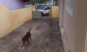 Imagem 5: Vendo casa em Ilha dos Pombos - Light