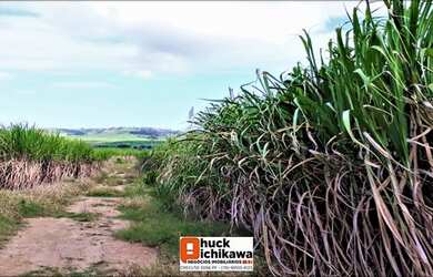 Imagem 9: Fazenda de 666 Tarefas