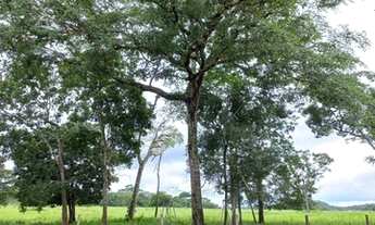 Imagem 2: FAZENDA À VENDA EM PARANATINGA - MT - 8.000 HECTARES (DUPLA APTIDÃO