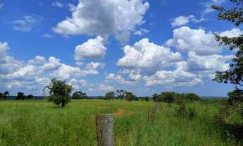 Imagem 3: Fazenda 127 Alqueires 2,700.00 Milhão