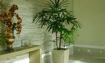 Imagem 4: Belíssimo Apartamento para venda com 89 metros quadrados com 3 quartos em Condomínio Resor