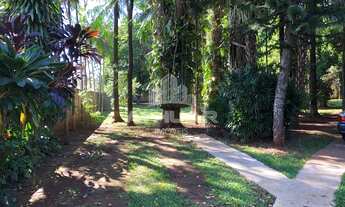 Imagem 7: CHÁCARA NO PILAR PARQUE CAMPESTRE