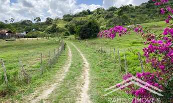Imagem 5: Chácara com 5 Hectares em Gravatá-PE