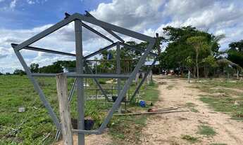Imagem 4: Fazenda nova de 170 hectares, sendo 120ha de pasto - 70 km de Cuiabá, sentido Rondonópolis