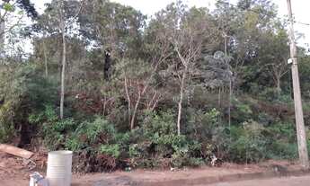 Imagem 2: Lote em Escarpas do lago - Capitólio - MG 1032m²