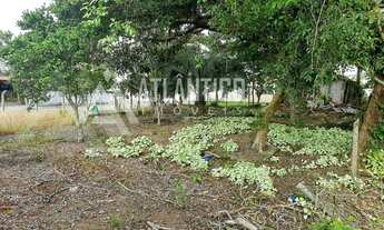 Imagem 3: EXCELENTE TERRENO RESIDENCIAL LOCALIZADO NO BAIRRO GRAVATA,O LOTE MEDE 450,90 METROS QUADR