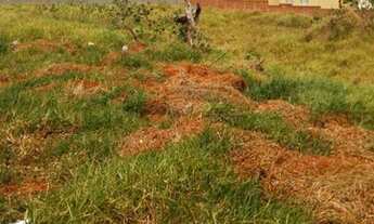 Imagem 3: Área Avenida Ipanema