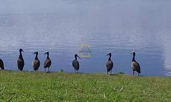 Imagem: FLORIANóPOLIS - Terreno Padrão - Campeche