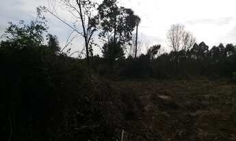 Imagem 5: Terreno tem 15000 metros quadrados - Área Comercial -Perto do trevo - Rio Negrinho - SC