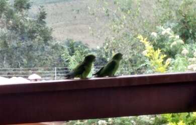 Imagem 6: Itatiba- Chácara- Terreno de1.200 m²- Área Construída 250 m²- Jardins e piscina