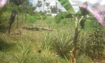 Imagem 4: Vendo chácara Chácara com venda por R$28.000