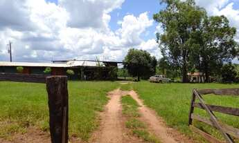 Imagem 2: Fazenda 127 Alqueires 2,700.00 Milhão
