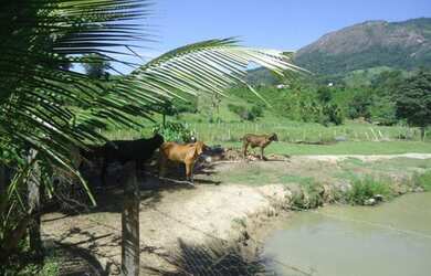 Imagem 4: Leia o Anúncio- imagem ilustrativa