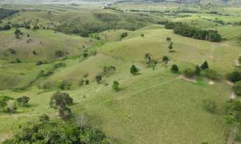 Imagem 2: Fazenda com 164 Hectares em Pernambuco