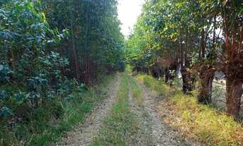 Imagem 7: Terreno grande 35.000 mil metros