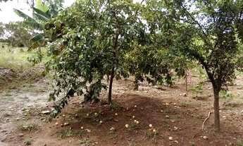 Imagem 5: Vendo Mini chácara 3 mil metros no Vale das Andorinhas, Novo Gama-GO