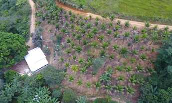 Imagem 5: Sítio à venda com 20.000 m² em São João de Jaboti, Guarapari-ES