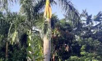 Imagem 7: Casa para Venda em Brasília, Setor de Mansões do Lago Norte, 3 dormitórios, 1 suíte, 2 ban