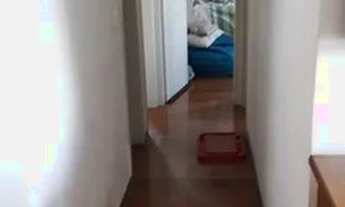 Imagem 7: Apartamento em Vila Moinho Velho - São Paulo