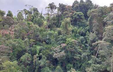 Imagem 3: Apto centro, vista verde, sol, infraestrutura, Rua 16 de março, excelente preço- Petrópoli