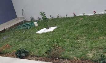 Imagem 7: Parque Universitario