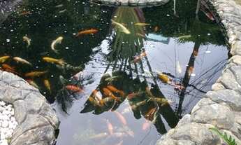 Imagem 3: EXCELENTE APARTAMENTO NO CONDOMÍNIO ASA - TROBOGY