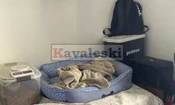 Imagem 3: Apartamento, Vila das Mercês - São Paulo