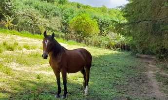Imagem 5: Sitio 38.000 m2 próximo a Gonçalves-MG
