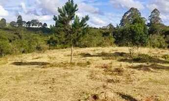 Imagem 3: TERRENO A VENDA DIRETO COM O PROPRIETÁRIO
