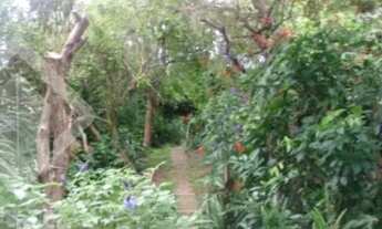 Imagem 4: Casa à venda Rua Coroados, Vila Assunção - Porto Alegre