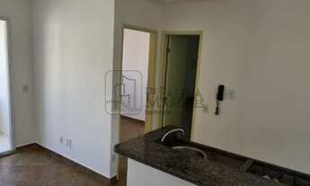 Imagem 5: Apartamento para locação