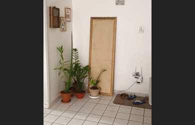 Imagem 4: Dividir apartamento - Cruz das Almas