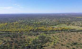 Imagem 4: Zona Rural Fazenda / sítio com venda por R$500.000